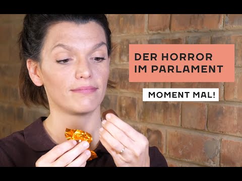 Der Horror im Parlament! Moment mal mit Barbara Blaha