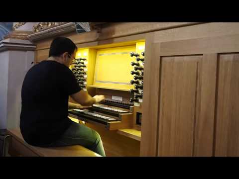 Carlo Barile • Toccata e Fuga in d minor BWV 565 J.S.Bach