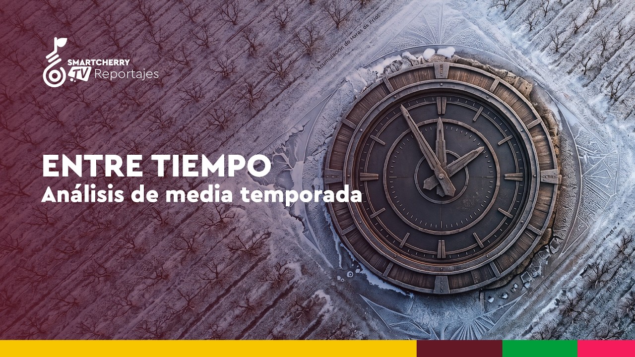 Reportajes en Smartcherry: "Entre tiempo: Análisis de media temporada"
