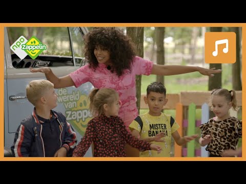 VIER KLEINE VISJES | Kinderliedje uit de Wereld van Zappelin | NPO Zappelin