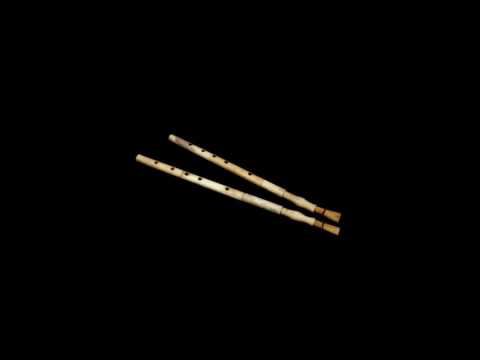 Bone Aulos from Paestum