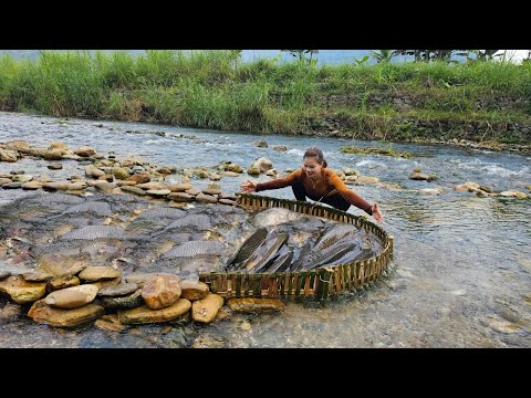 Full video of a girl catching fish in a stream for 30 days using unique fishing methods.