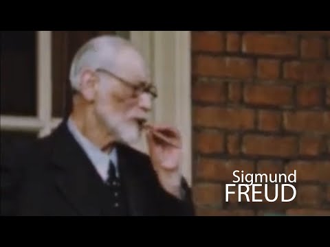 Freud’s Unconscious - The Psychoanalysis of a Dream, and its Dreamer