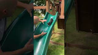 Miniature vidéo
