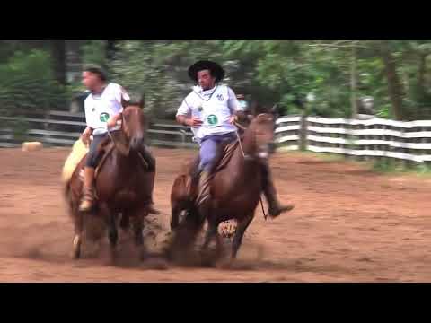 "TOMBO NA PALETEADA" - BAITA SUSTO