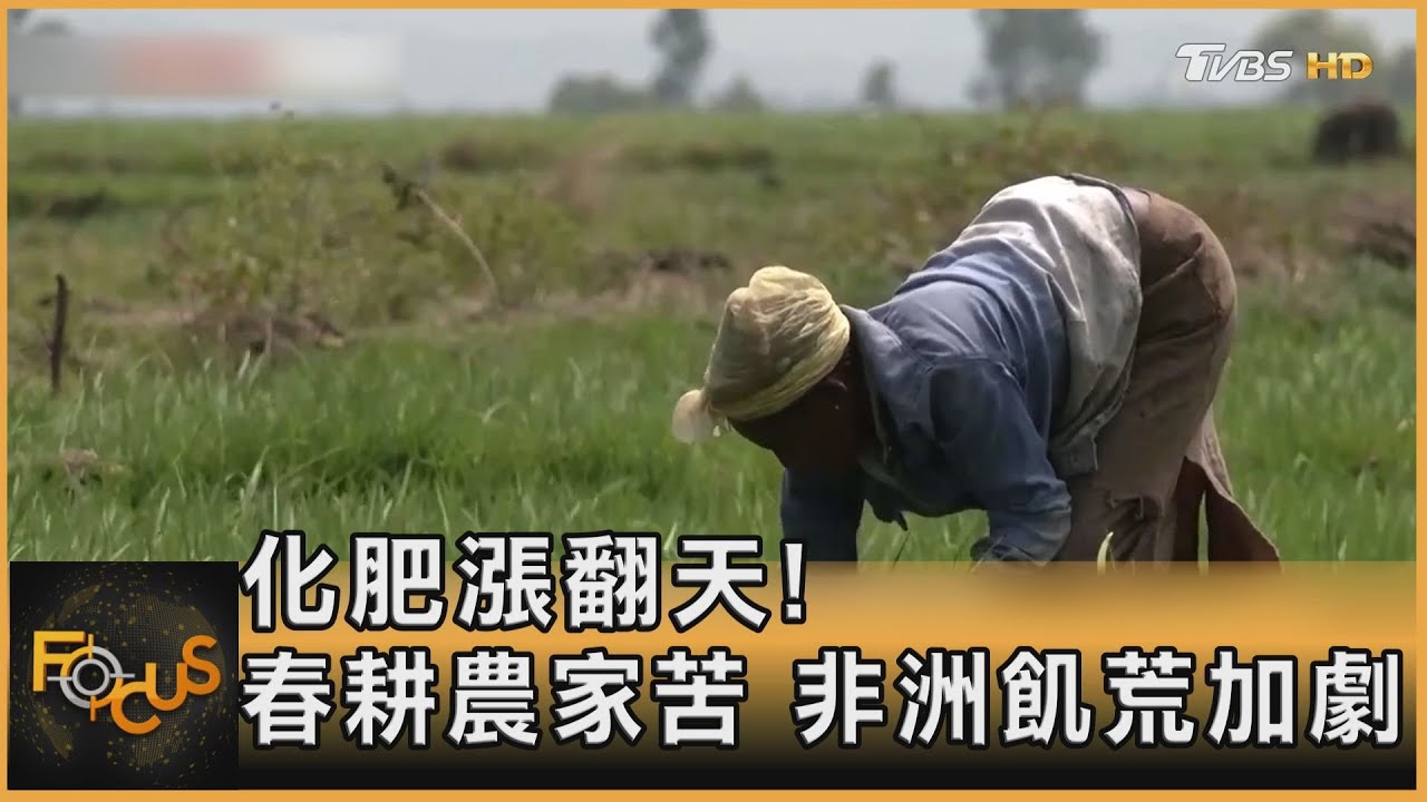 化肥漲翻天！春耕農家苦　非洲飢荒加劇
