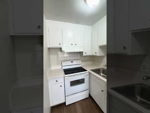 Pearl 3196 - Video 2 of 2