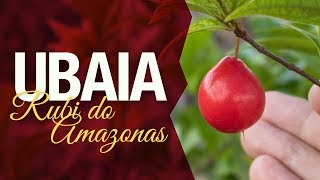 Miniatura do vídeo