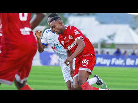 bg-highlight