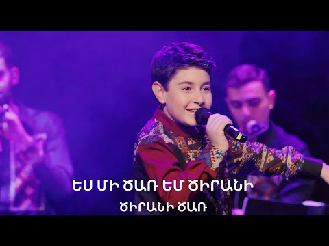 Դավիթ Զաքարյան - Ես մի ծառ եմ ծիրանի | Ծիրանի ծառ | Davit Zaqaryan-Es mi car em cirani | Cirani car