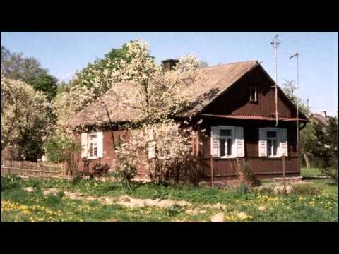 POLSKIE KWIATY  -  ECHO THE BAND .avi