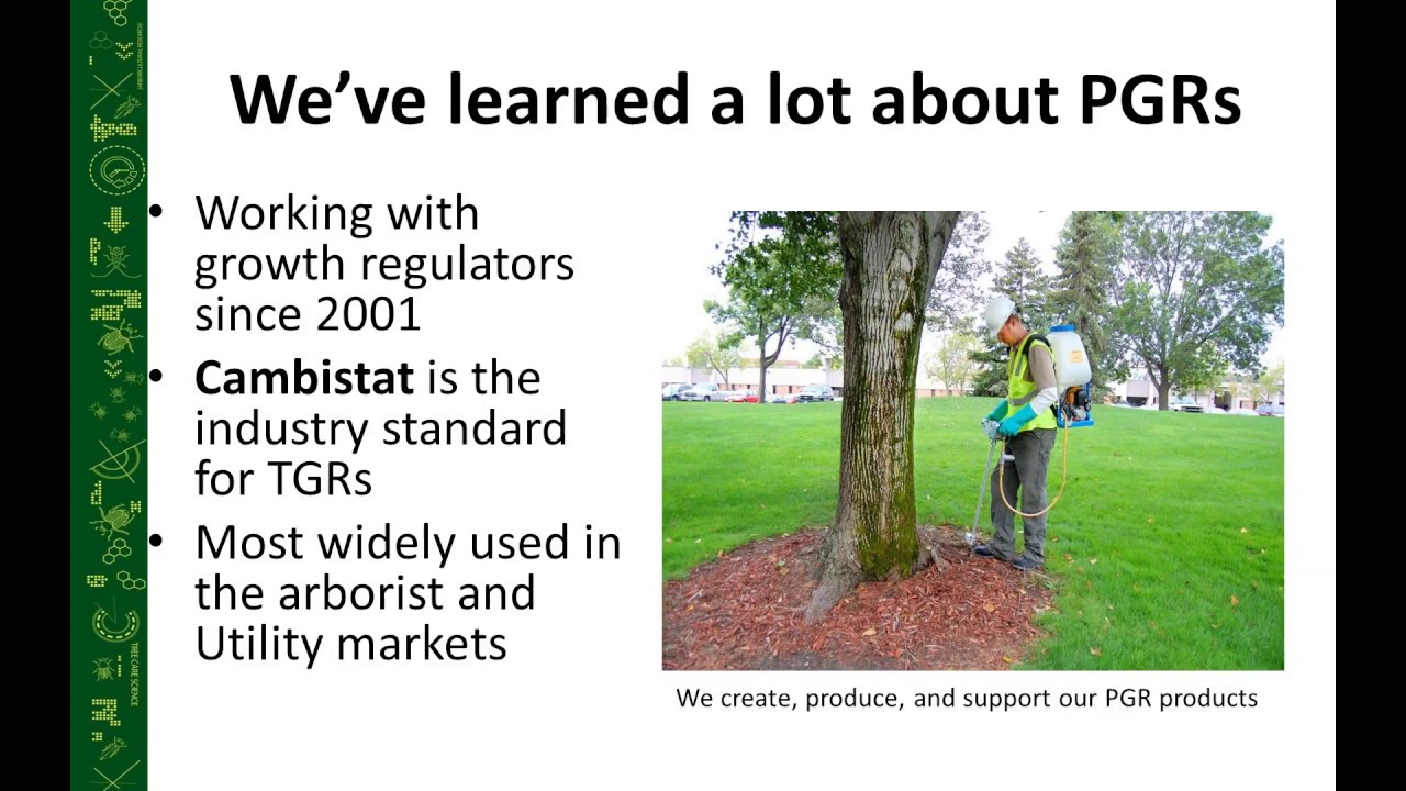 Tree Growth Regulators 101