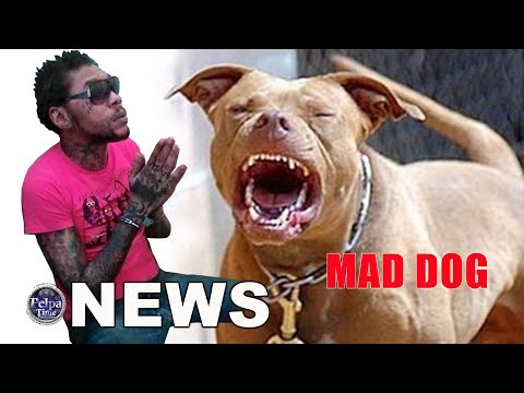 Vybz Kartel getting baptized, bad dog ATTACK / Eek-A-Mouse & Capleton drop new music video