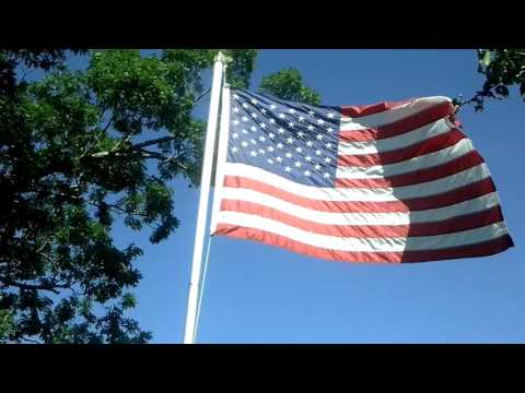 The Arkansas Hummingbird