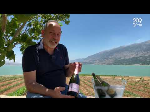 La Tourba: Le vin effervescent