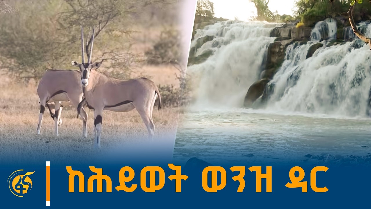 ከሕይወት ወንዝ ዳር