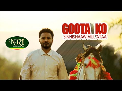 Sinishaw Muleta- Goota koo: New Oromo music lyric video