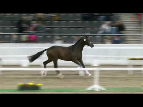 Zakaria von Zoom - Fürst Nymphenburg