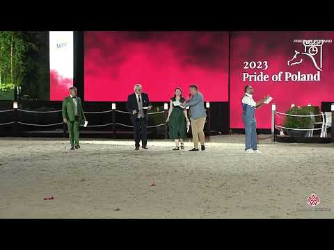 PRIDE OF POLAND 2023   PoP Auction 2023 Part 1