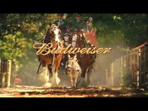 Bud Clyde Commercials 2 - Turtle Ranch