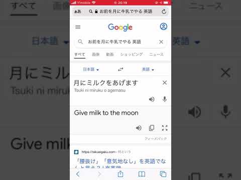 Google 翻訳: 検索エンジン大手が広告の統合を計画