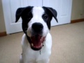Barney Smiling
