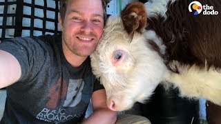 Guy Quits His Job To Rescue Animals  | The Dodo by The Dodo
