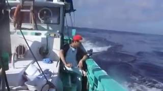 国丸のイメージ