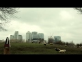 Family Fodder - It's 1965 (Official Video)