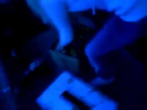 lukaas i marijaa angelica