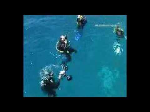 Mit der Highlights ab in den Norden des Roten Meeres