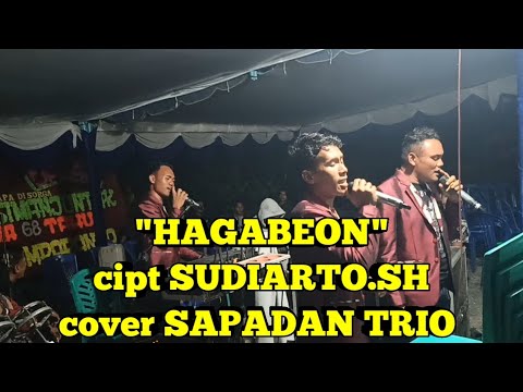 "HAGABEON" cipt SUDIARTO TAMPUBOLON cover SAPADAN TRIO