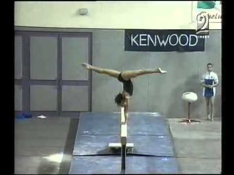 2002 RN T Catalina Ponor BB & Floarea Leonida