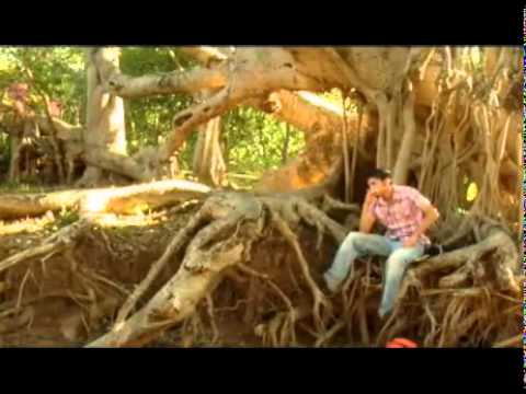 Banda la Costeña / Nunca se acabo el encanto