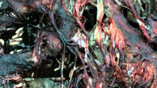 Jandek - I Talked To You Today