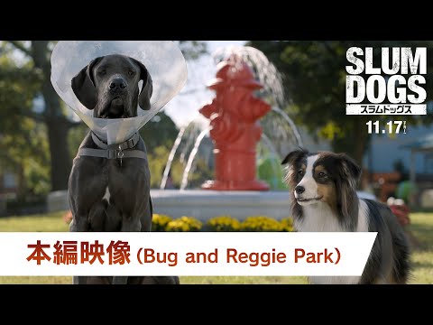 吹替版 本編映像「Bug And Reggie Park」