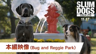 吹替版 本編映像「Bug And Reggie Park」