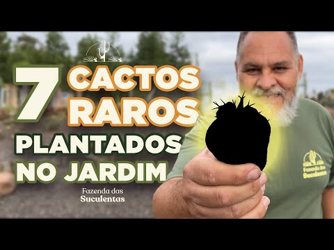 7 CACTOS RAROS plantados no JARDIM DA FAZENDA DAS SUCULENTAS