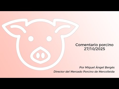 Comentario porcino - 27/10/2025