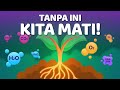 Fotosintesis Cara Tumbuhan Mengolah Cahaya Matahari