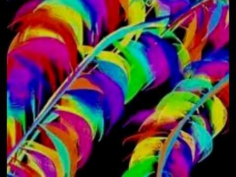 FIOLET: „The Vibrations"