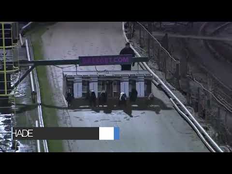 Tashade - The Brinkleys Poet At Stud Young Guns Final