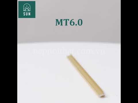 NẸP T NHÔM MT6.0