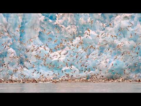 Einojuhani Rautavaara: Concerto for Birds and Orchestra “Cantus Arcticus”, Op. 61