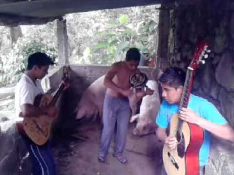 CUSINELA AL ESTILO MOLANGO (VÍDEO OFICIAL - ESTRENO 2012).3gp