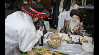 טיש משתה היין אצל האדמו''ר מנדבורנה - Nadvorna rebbe