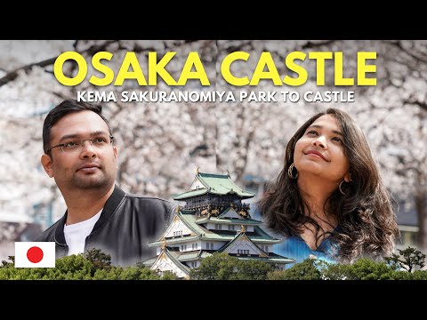 🇯🇵 This One Tree Has 3 Different Shades of Sakura | Osaka's Hidden Gem