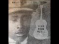 Blind Willie McTell - Statesboro Blues 