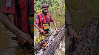 Download lagu Nikmatnya bakar ikan dan sagu di hutan=40 mp3