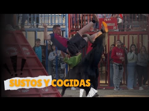 🔝 SUSTOS Y COGIDAS TEMPORADA 2025‼️